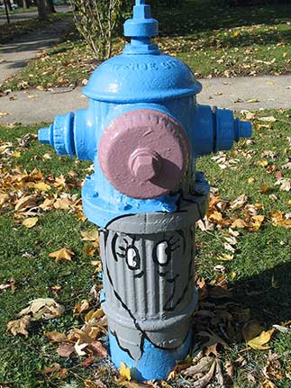 Cat in the Hat - Vermont and Iowa